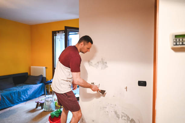 Best Local Mold Removal Service  in Hueytown, AL