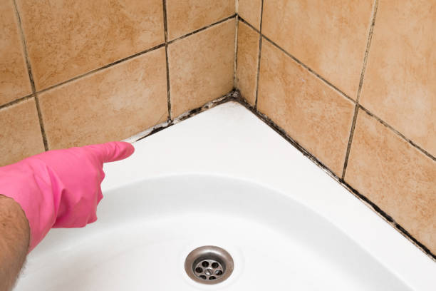 Best Toxic Mold Removal  in Hueytown, AL